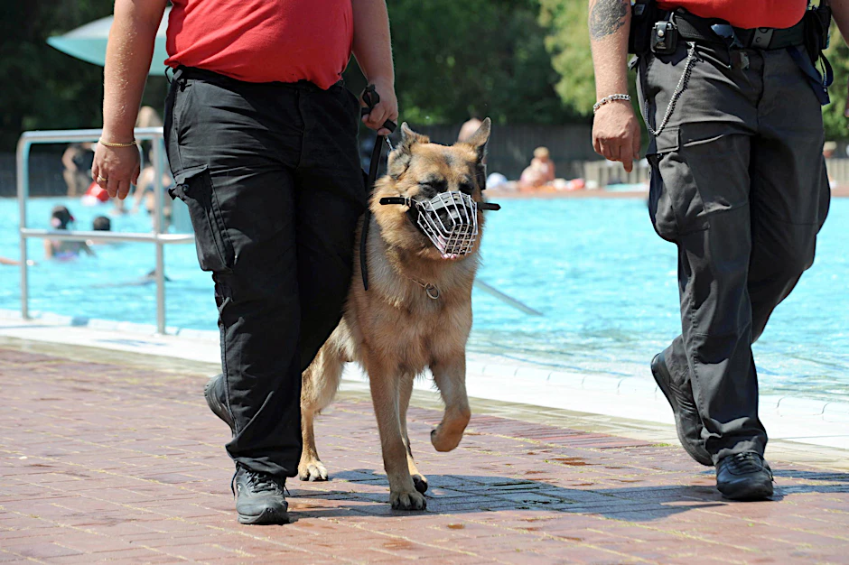 Security-Männer mit Hund sind im Prinzenbad auf Patrouille. 