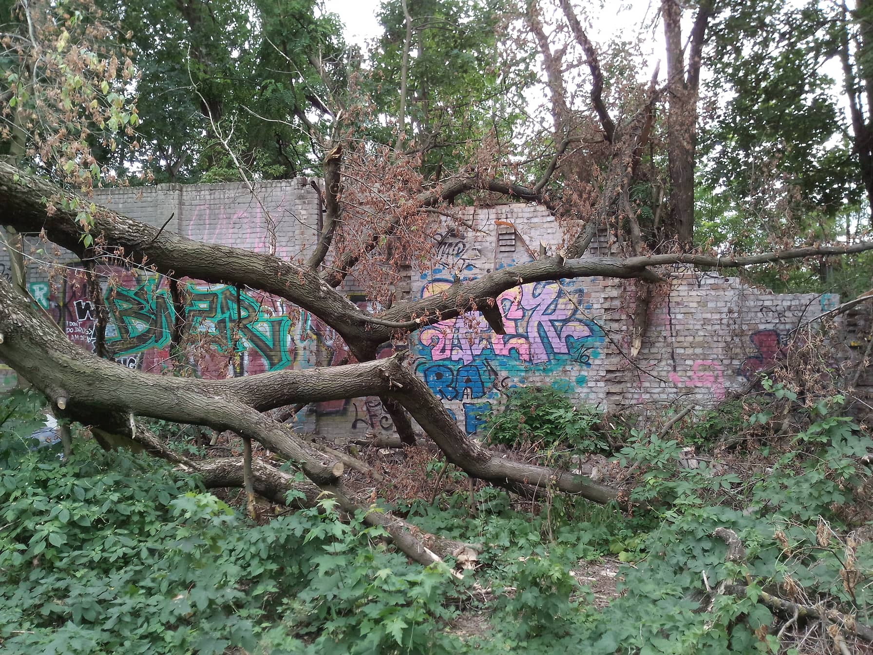 Image - Nach Sturmwetter: Berlins Ur-Mauer ist einsturzgefährdet