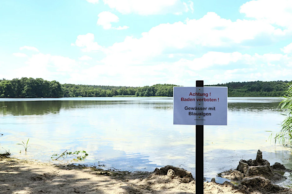 Sollten die Blaualgen in diesem Sommer wieder zuschlagen, drohen wie an diesem See Badeverbote. Die Bakterien verursachen Durchfall und Erbrechen.   