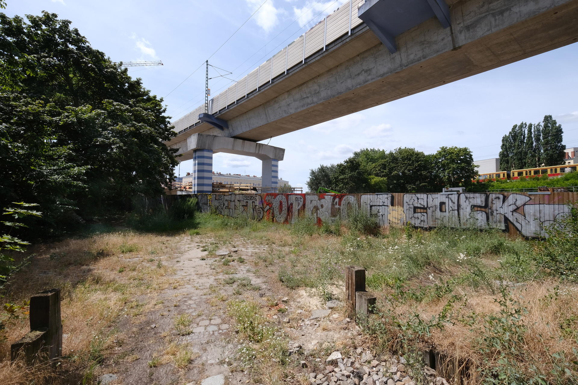 Das verwilderte Ersatzgrundstück liegt direkt an der S-Bahn-Trasse am Nordufer.