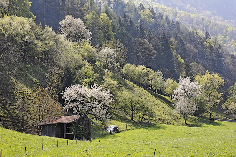Staudach-Egerndach in Oberbayern.
