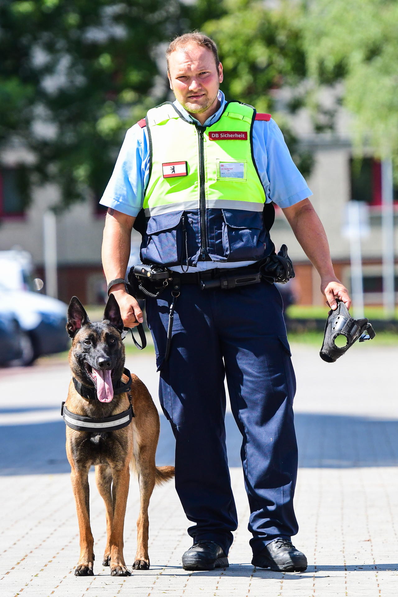 Zu Hause ist er ganz lieb. Pit begleitet seinen Hundeführer Sebastian Große in Schöneweide. 