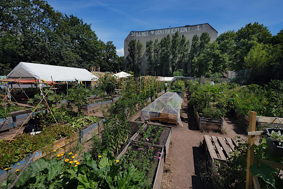  Der alte„Himmelbeet“-Garten in der Ruheplatzstraße, unweit des Leopoldplatzes.
