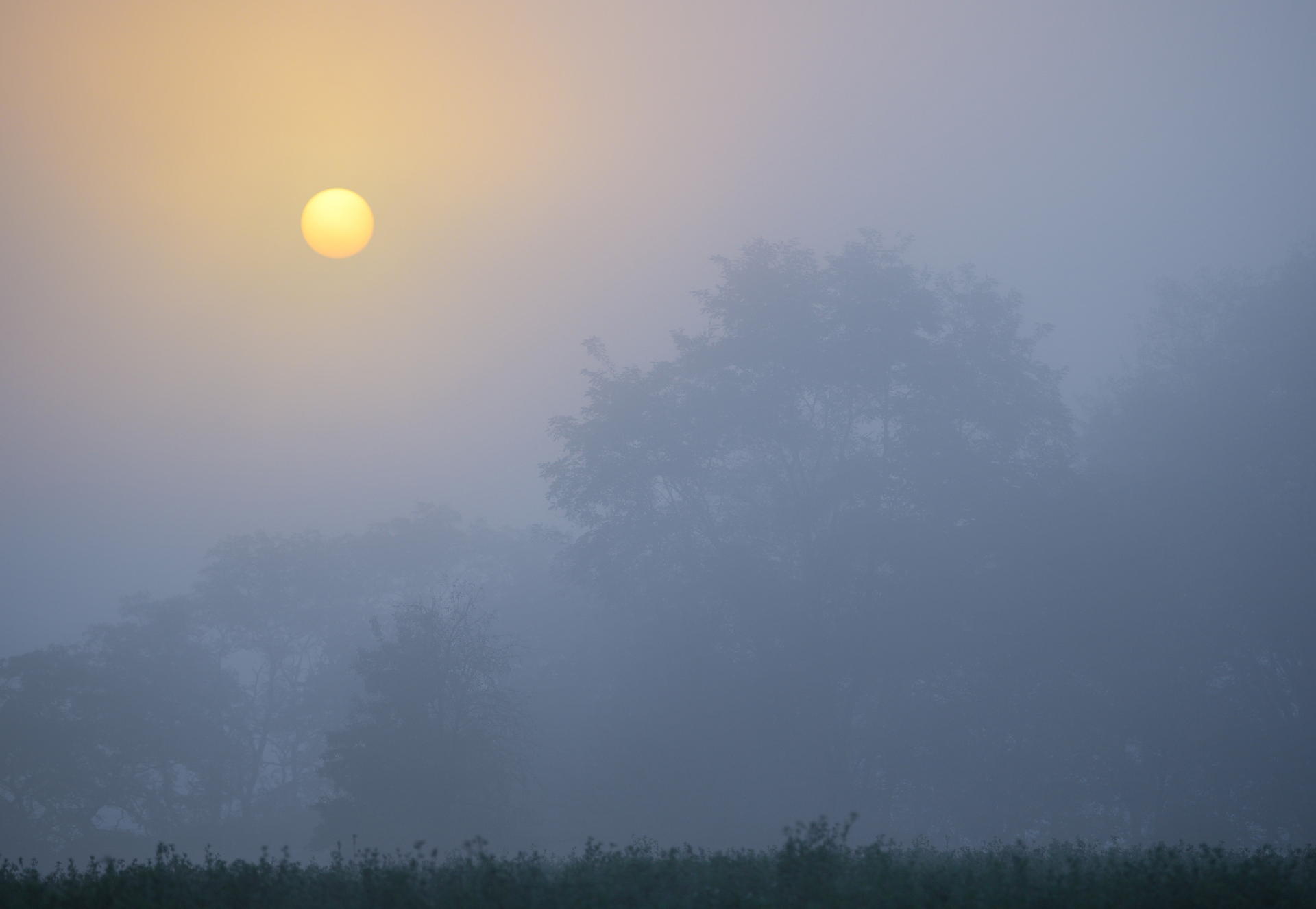 Image - Erster Schnee in Sicht: Temperatursturz: Kaltfront knipst den Sommer aus