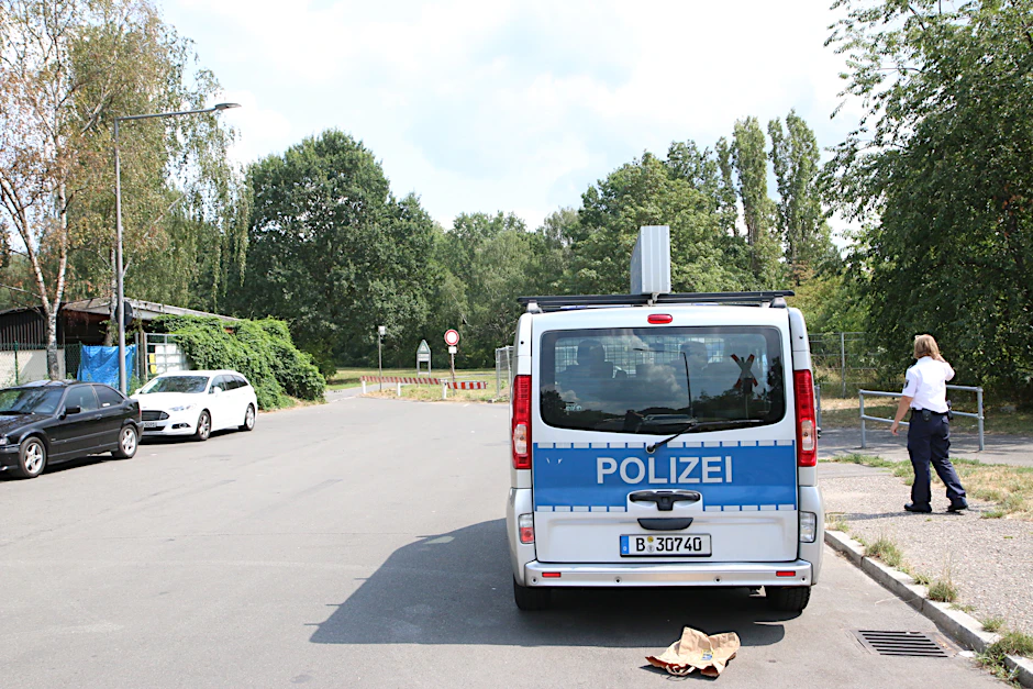 Waldstück am Kölner Damm, Gropiusstadt.