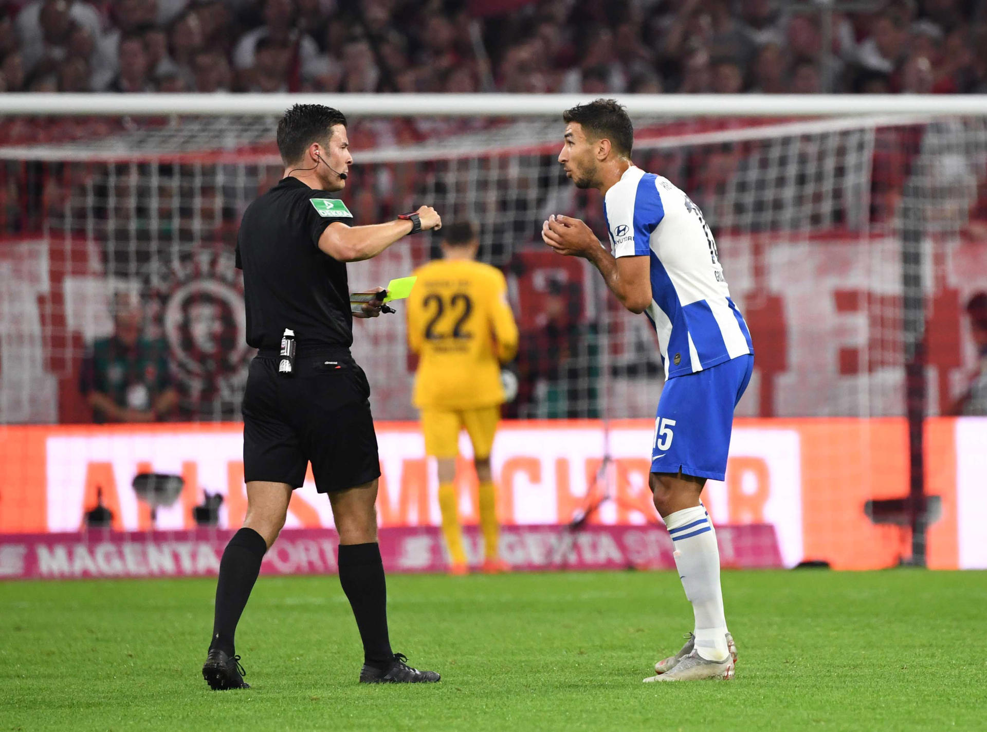 Image - Tragischer Held Grujic: "Sorry, der Elfer war unnötig!"