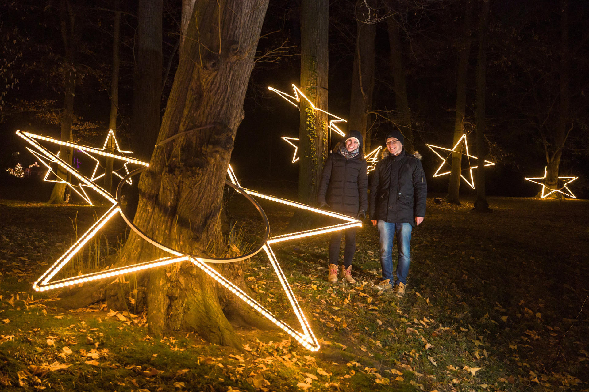 Aus über einer Million Leuchtdioden entstehen weihnachtliche Sterne und Figuren. 