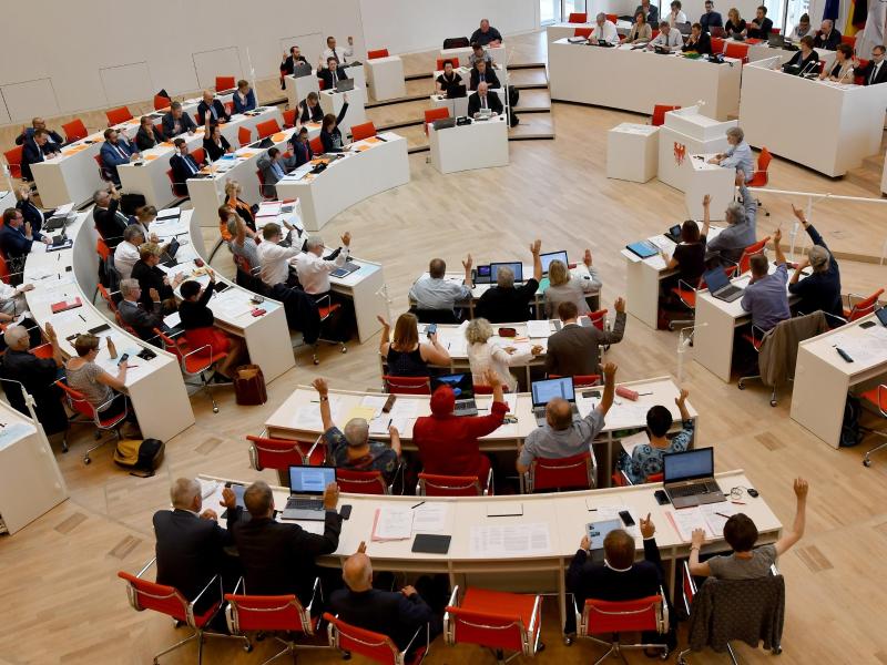 Image - Wahl-Umfrage Brandenburg im August 2019: AfD mit 21 Prozent derzeit stärkste Kraft