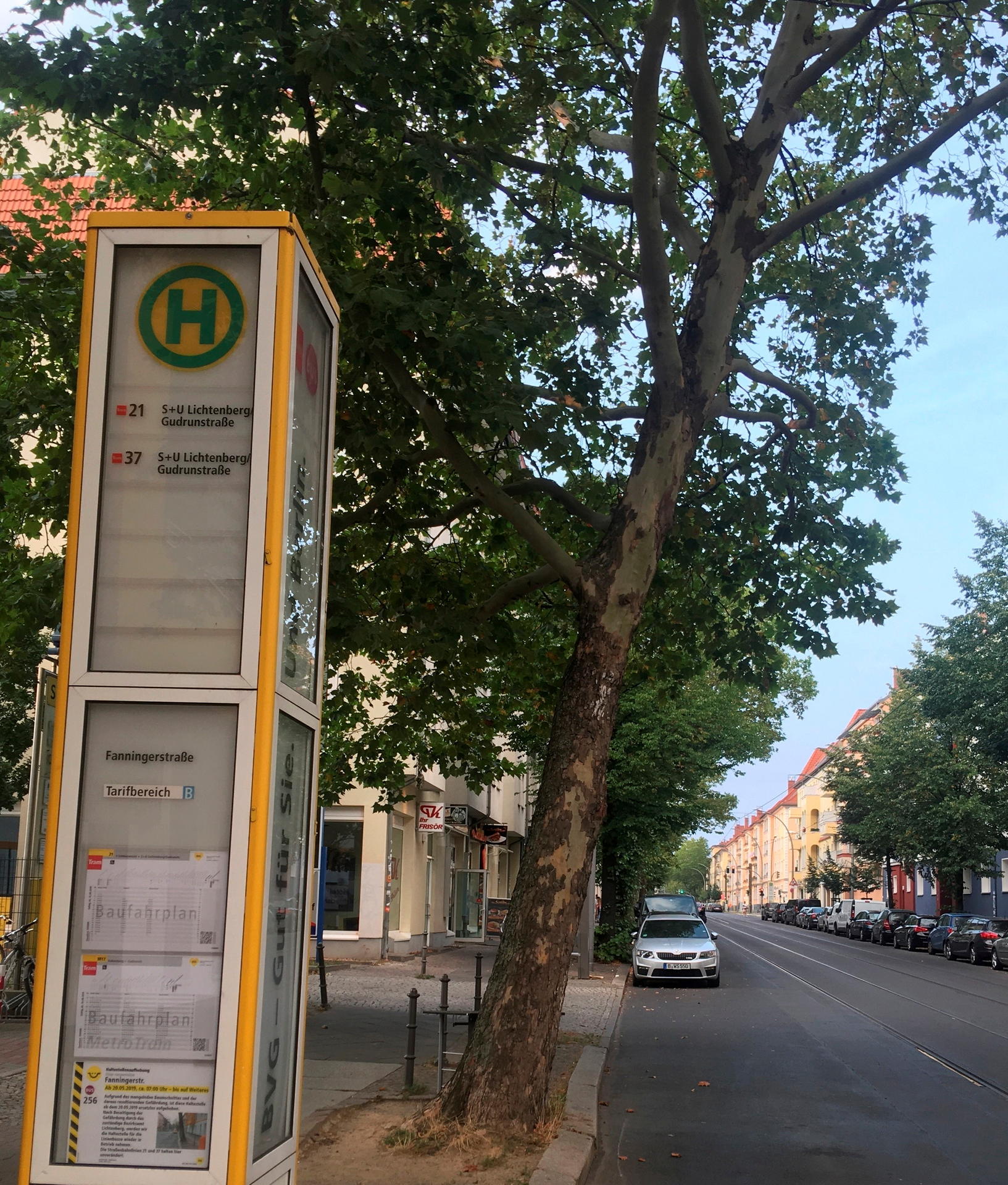 BVGÄrger Schiefer Baum bringt Anwohner auf den Baum