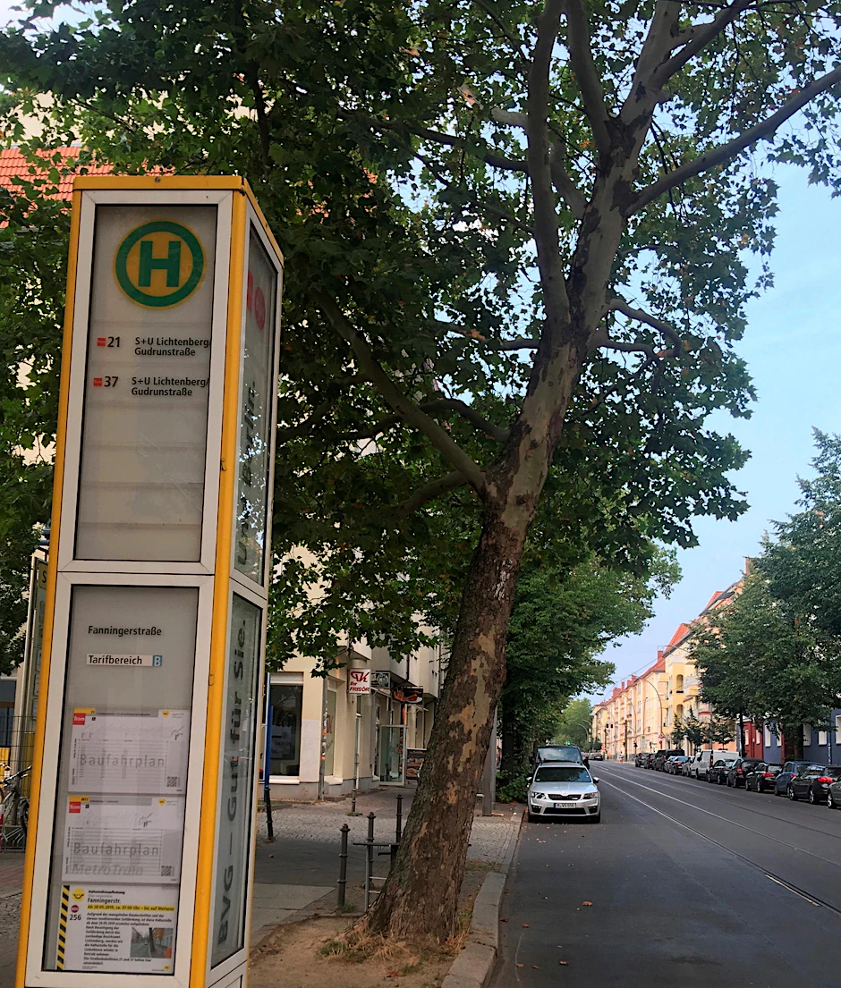 Die Natur bremst in Lichtenberg den 256er Bus aus.