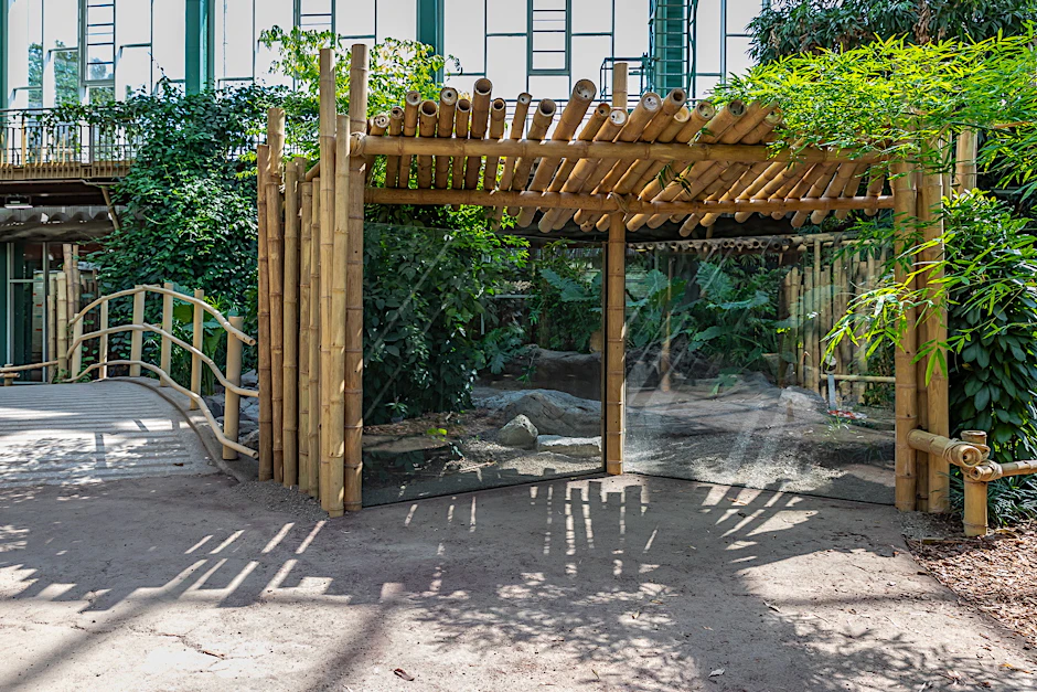 Tierpark Berlin: Blick in die fast fertige Tropenhalle, die sich in neuer Dschungel-Pracht zeigt.