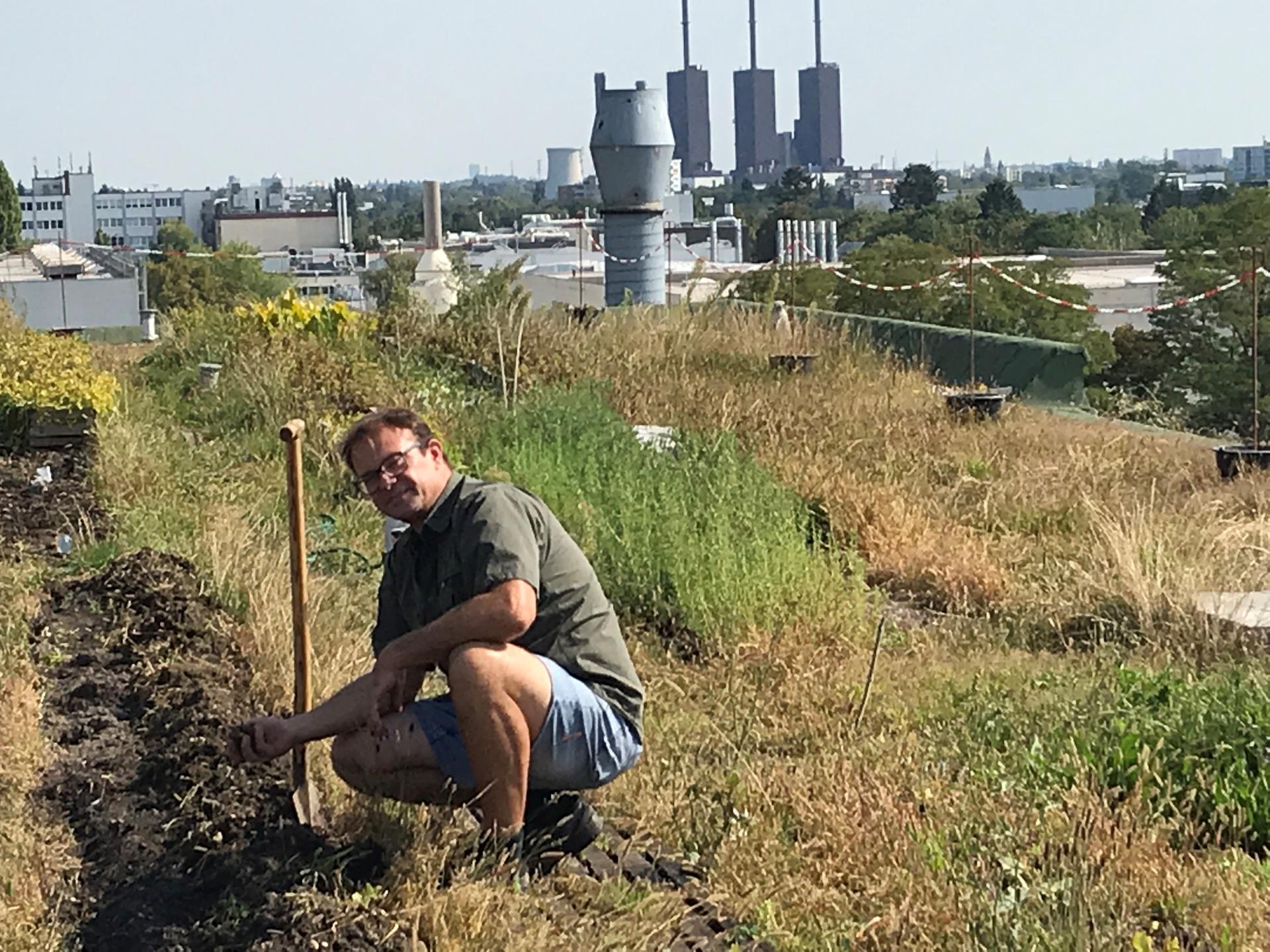 Image - Salzwasser Gemüse auf dem Goerzwerk Fabrikdach in Berlin