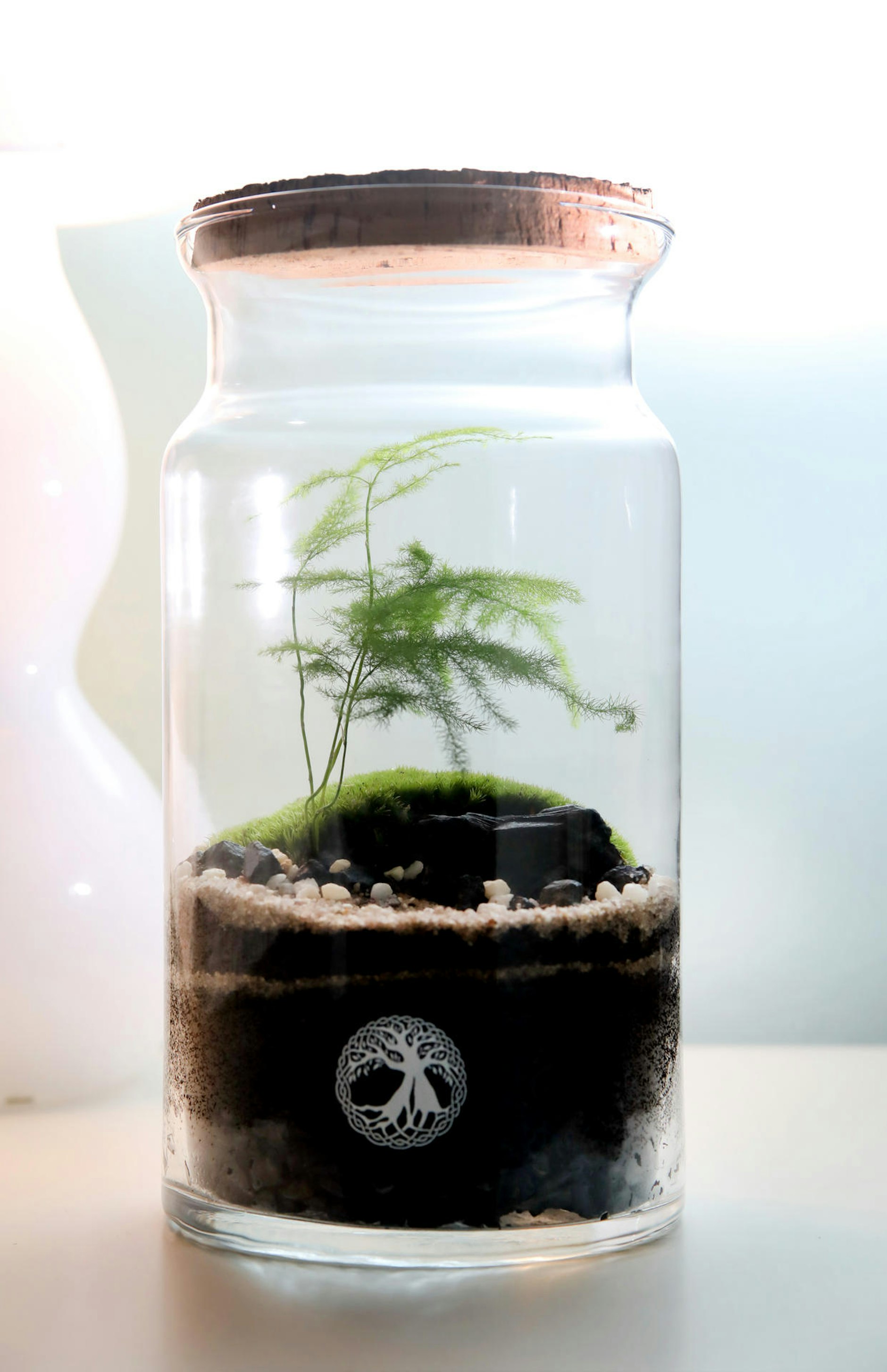 „TinyGardens“ StartupSzene Berlin Gärten im MiniFormat Pankower