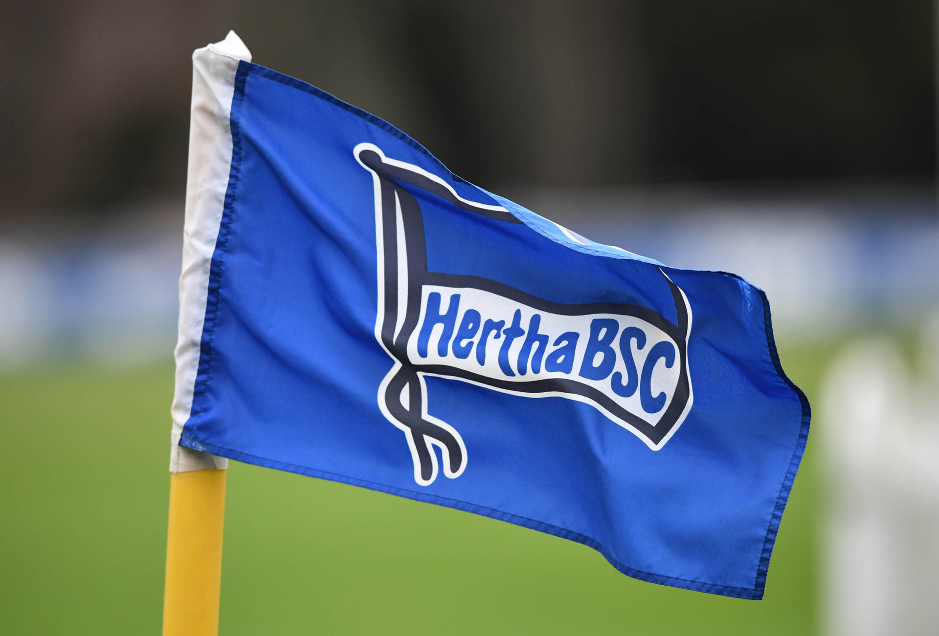 Image - Nächster Spielabbruch : Zuschauer greift Hertha-Spieler an