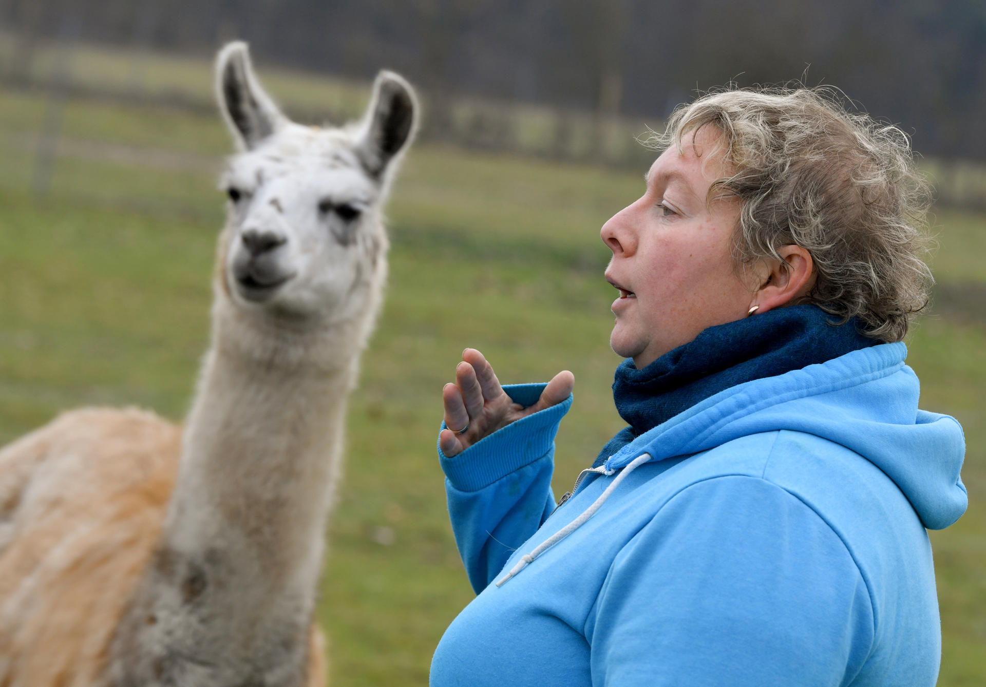 Anita Selig-Smith vom Märkischen Lamahof steht auf einer Weide. Sie hat ihr Herz schon vor 25 Jahren an Lamas und Alpakas verloren. 