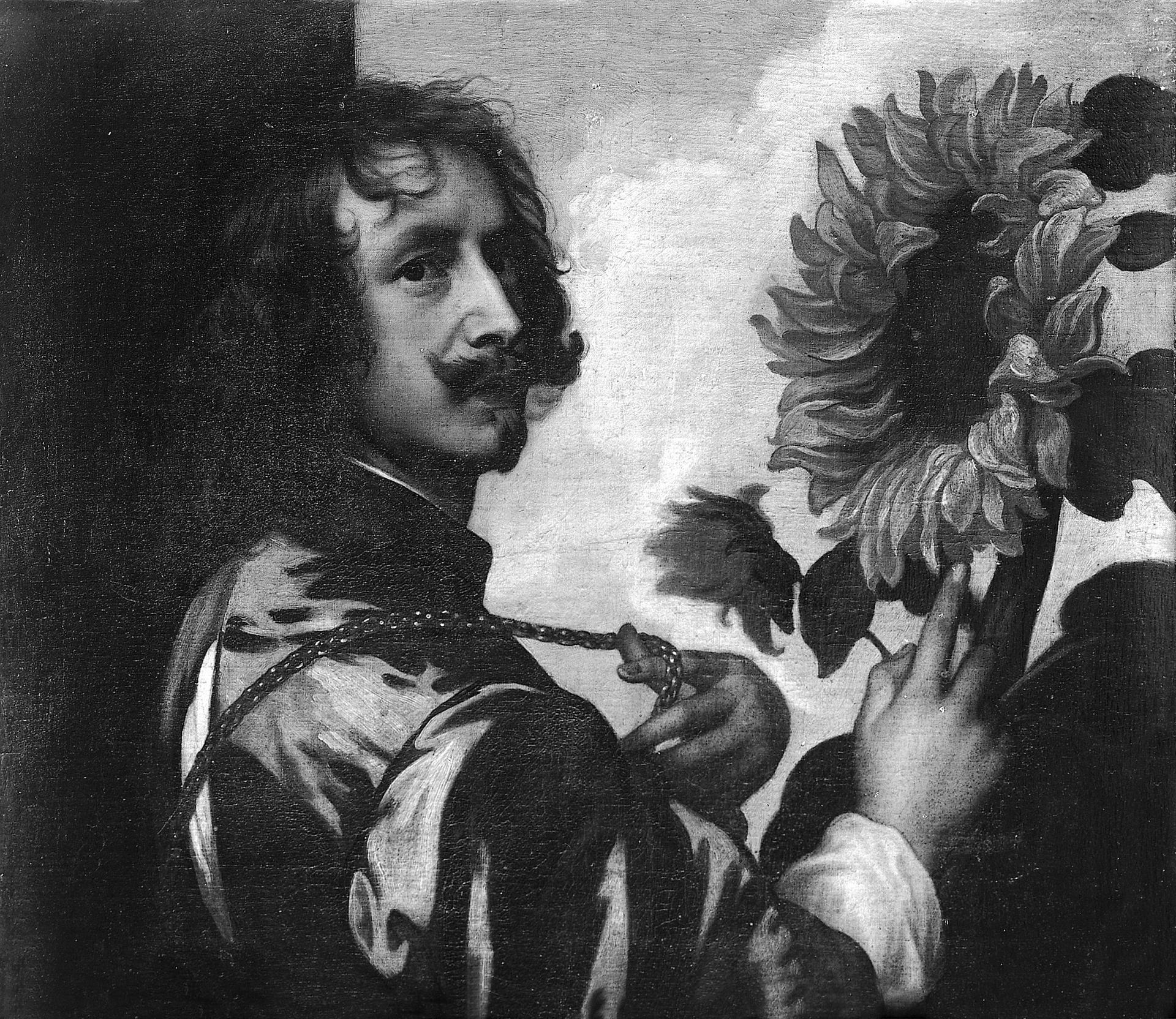 Das Selbstbildnis mit Sonnenblume nach Anthonis van Dyck (Antwerpen 1598/9- 1641 London).