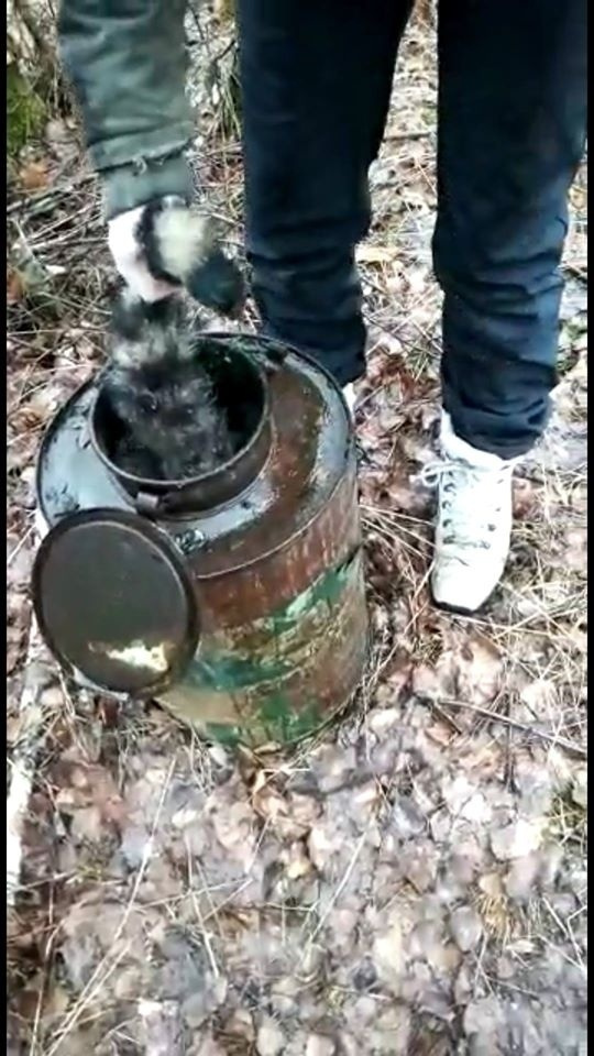 Eine Tierschützerin zeigt das in einer Kanne entdeckte tote Tier.