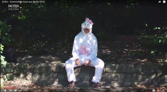 Im Kaninchenkostüm zeigte sich der Marihuana-Tester auf Youtube.