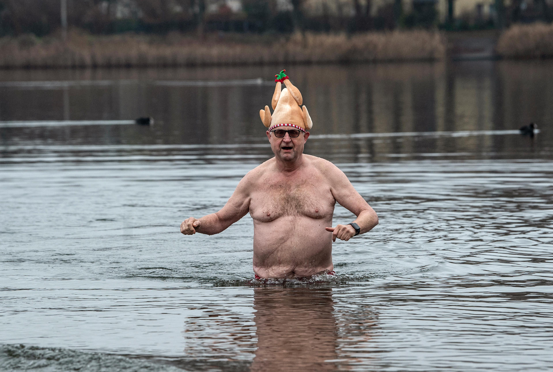 Die Seehunde tragen Mützen in allen Größen und Formen. Hier: eine Weihnachtsgans.