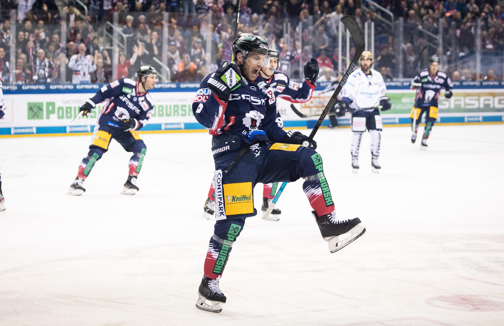 Image - Sonntag in Nürnberg: Schlemmer-Bären sind heiß auf Nachschlag