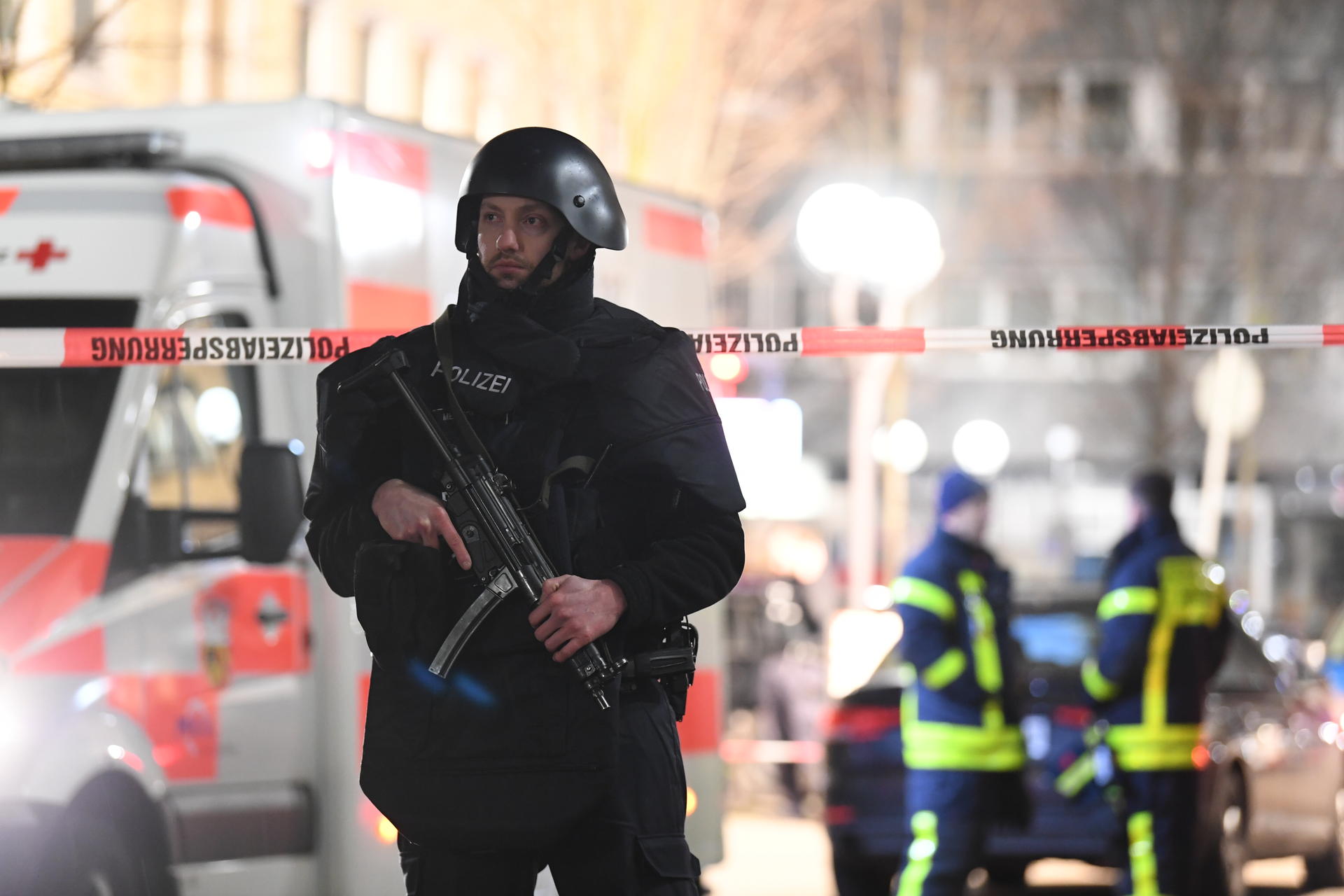 Image - AfD bestreitet Terror-Mitschuld: Seehofer warnt vor Hanau-Nachahmungstätern