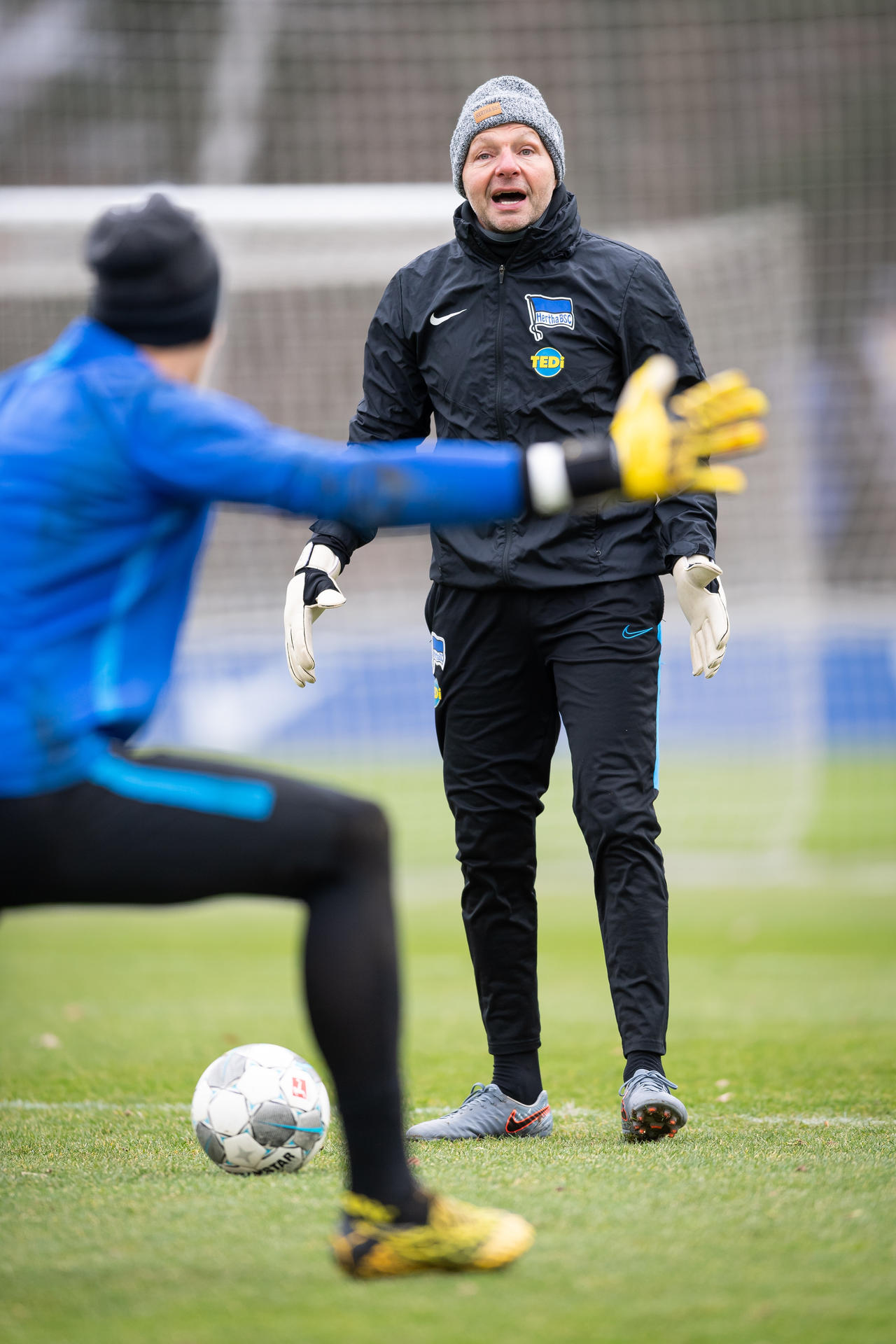 Image - Hurra, Zsolt wieder da: Kein böses Wort! Petry ist ein echter  Gentleman