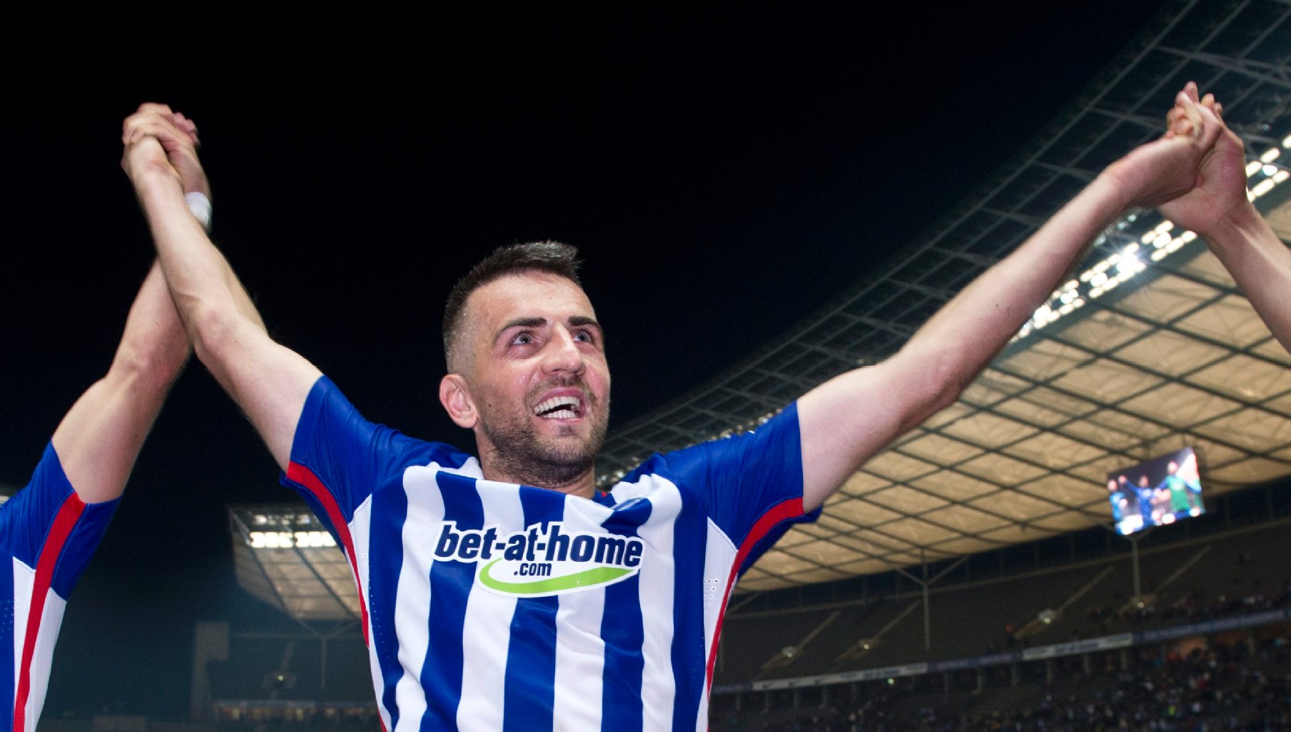 Vedad Ibisevic