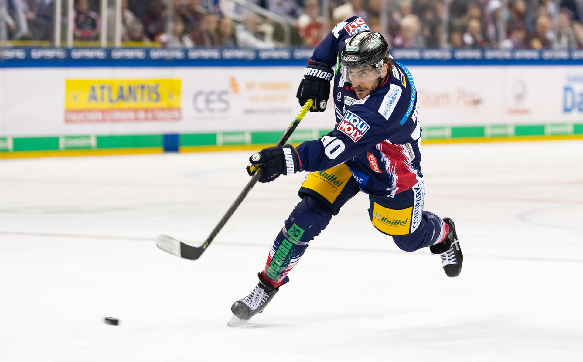 Image - Teilzeit-Stürmer: Eisbär Constantin Braun soll wieder Tore reinhaun