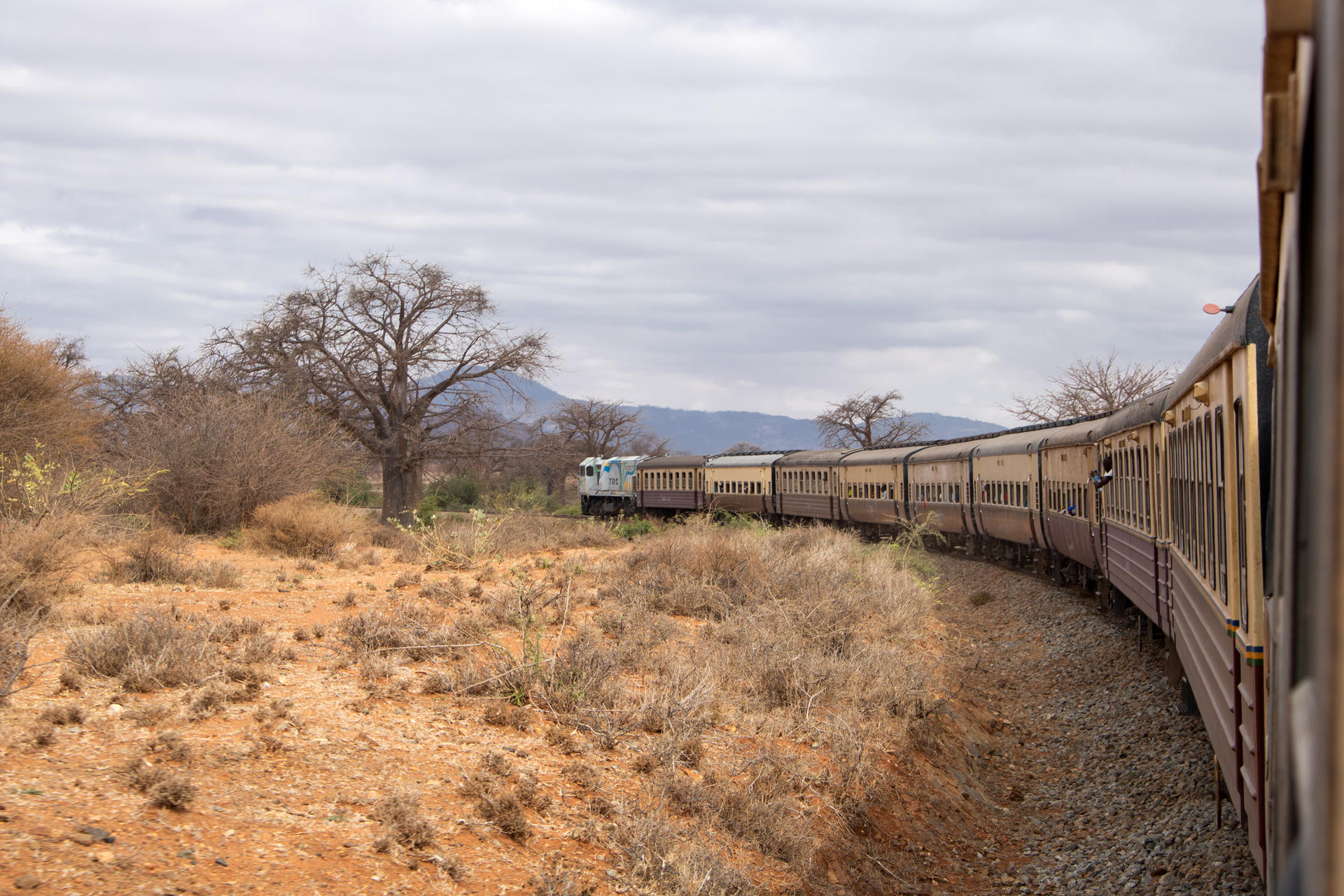 Image - Abenteuer im Zug durch Tansania: Auf Schienen durch die Savanne