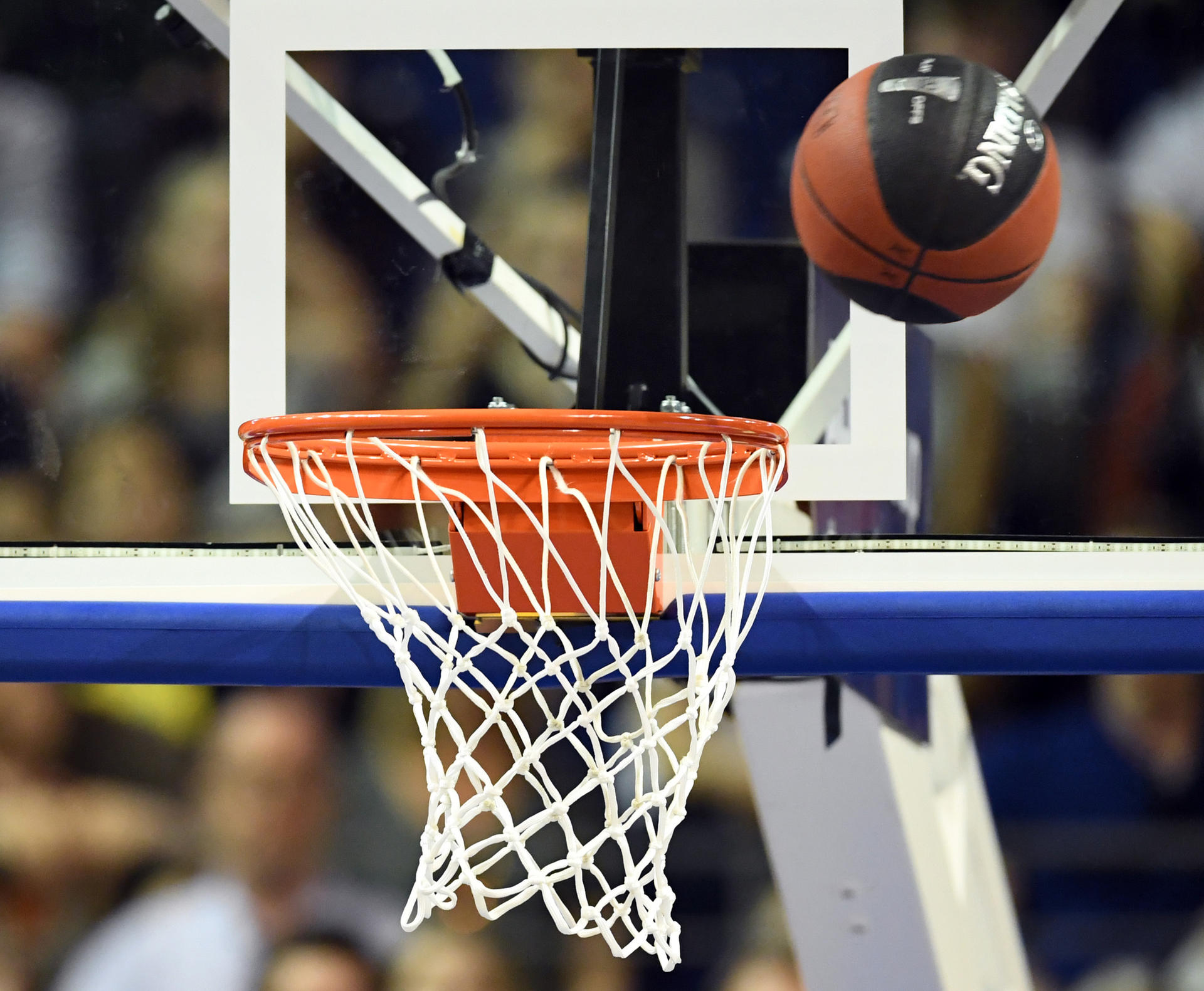 Image - Eurocup: Alba: Siegen oder fliegen