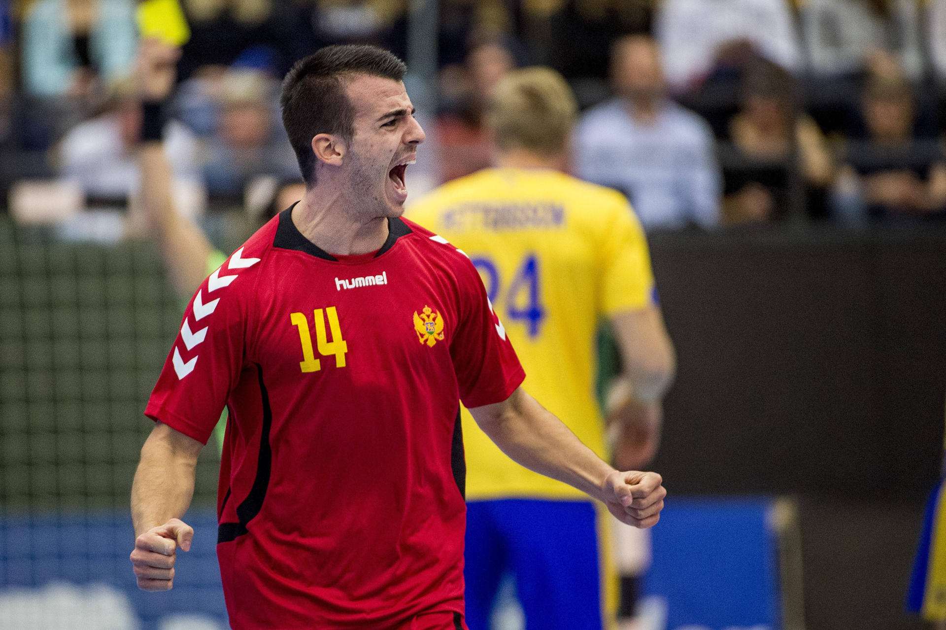 Image - Kretschmar schwärmt : Füchse gönnen sich neuen Linksaußen