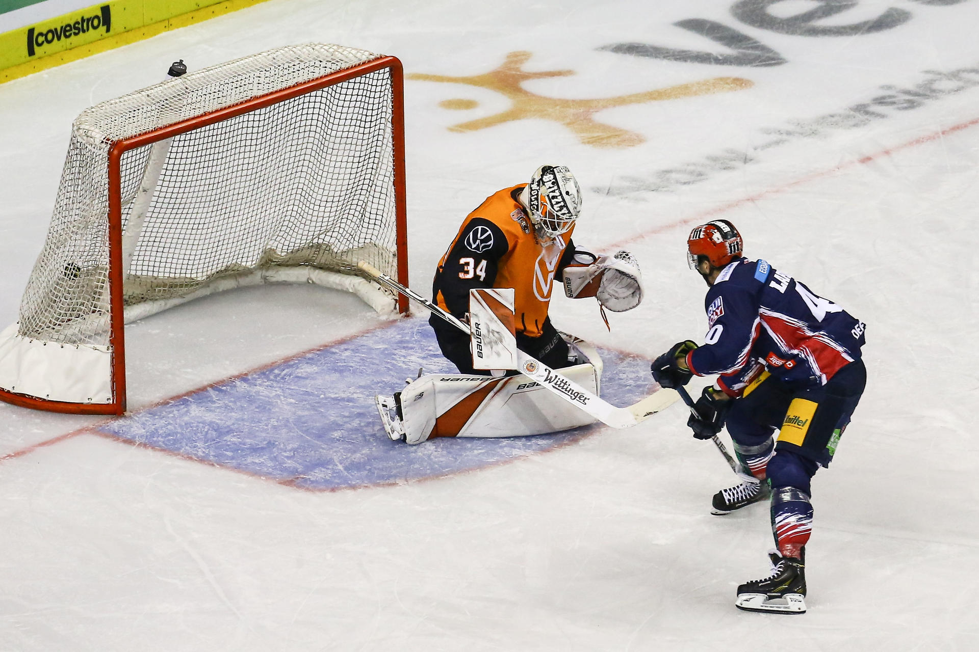 Image - Eisbären: Erst Wölfe, jetzt  die  Pinguine: Bären planen  maximalen Start