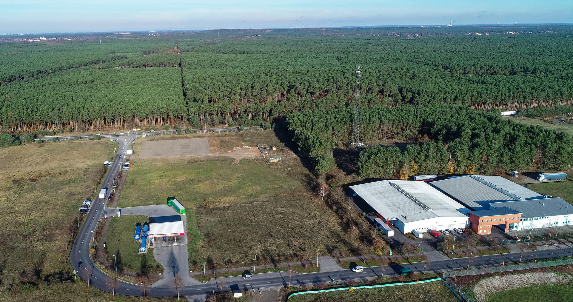 Auf diesem Waldgebiet in Grünheide bei Berlin will der US-Konzern Tesla seine Elektroautofabrik bauen. Ab Juli 2021 sollen dort 3000 Menschen arbeiten.