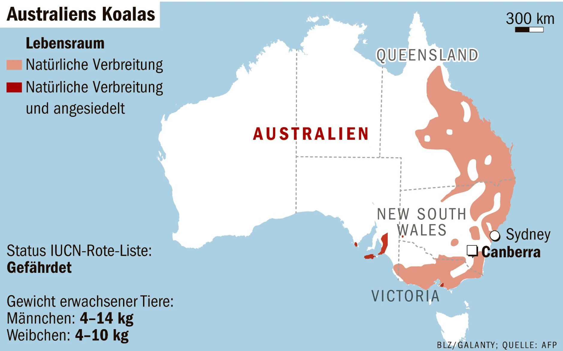 Wie Viele Menschen Sterben In Australien Durch Tiere www.berliner-kurier.de