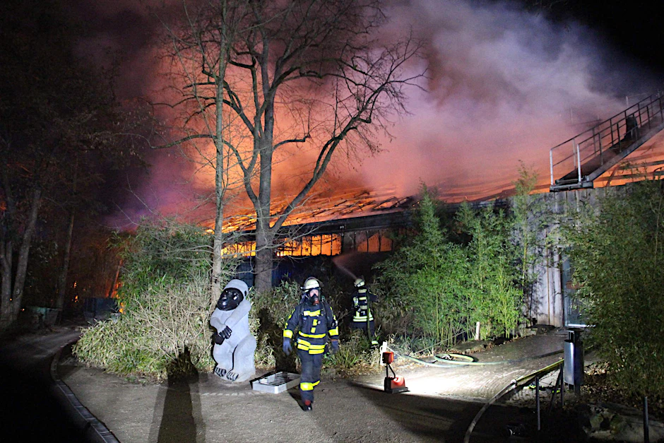 Feuerwehrleute stehen vor dem brennenden Affenhaus des Krefelder Zoos. Bei dem Brand in der Nacht zu Neujahr sind mehr als 30 Tiere gestorben. 