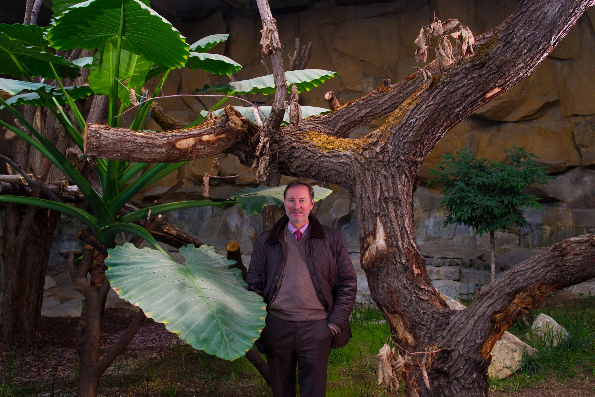 Image - Zoo und Tierpark Berlin: Liebe Tiere, euer Boss hat Großes vor