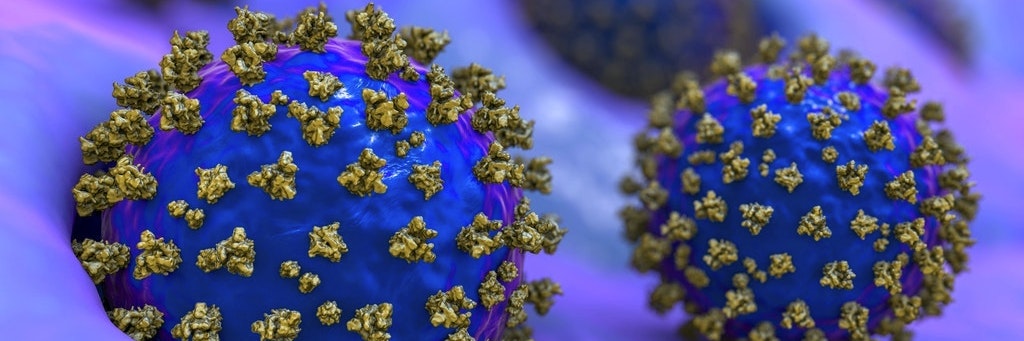 Das Coronavirus.