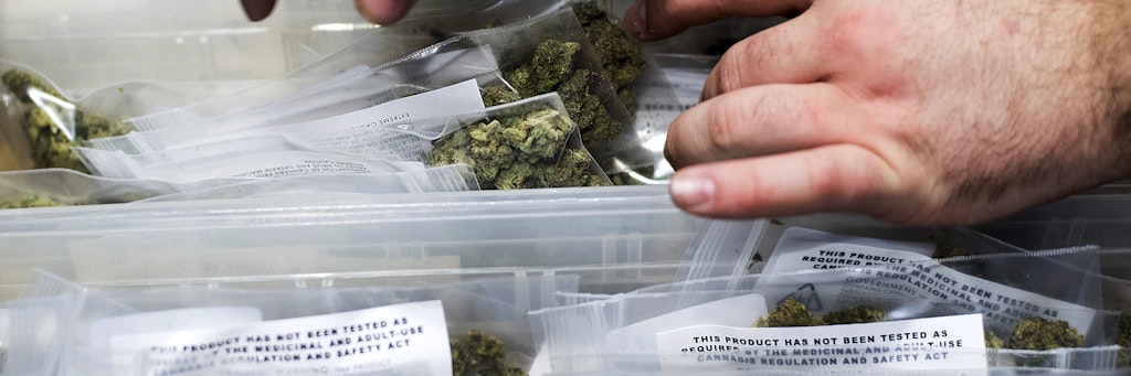 Cannabis (Symbolbild).