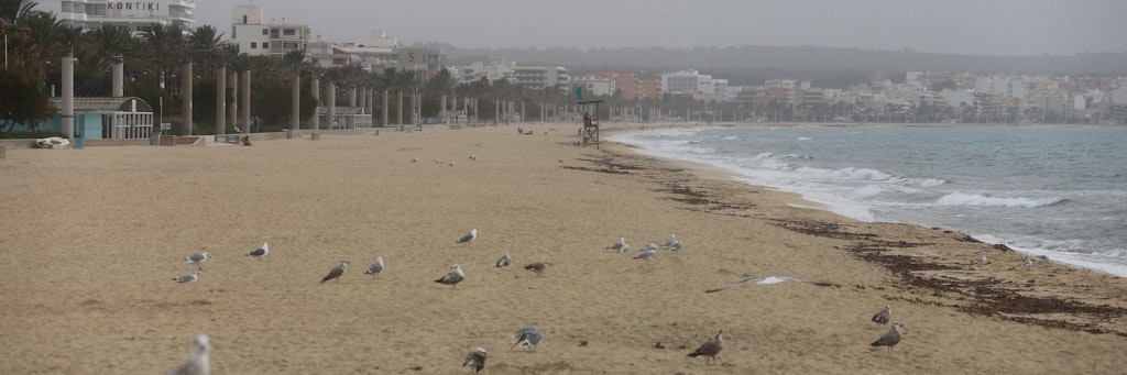 Vögel und Möwen am Strand von Arenal. Von Herbstferien ist auf Mallorca kaum etwas zu sehen. Die meisten Hotels sind zu, der Strand ist leer. 