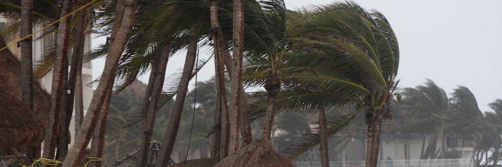 Starker Wind bläst am Strand Playa del Carmen, während Hurrikan „Zeta“ an der Südostküste Mexikos auf Land getroffen ist. 