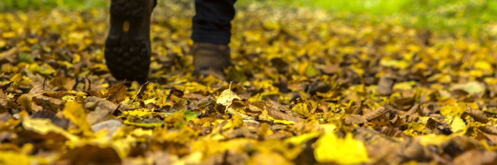 Eine Spaziergängerin geht durch dichtes Laub mit herbstlich gefärbten Blättern.
