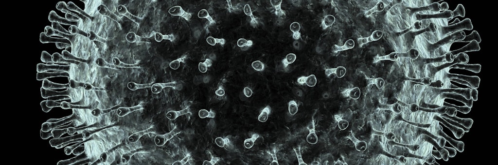 Das Coronavirus (Symbolbild).