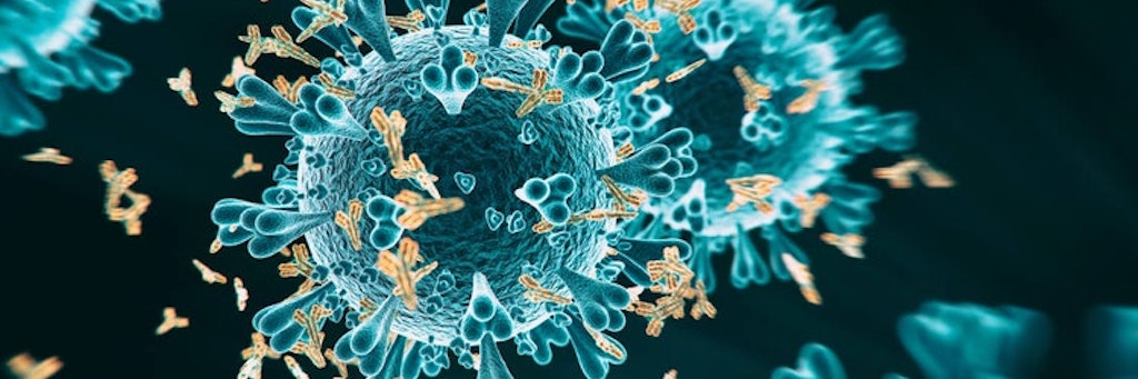 Das Coronavirus - der Teil-Lockdown soll die rasante Verbreitung des Erregers bremsen.