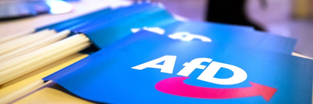 Die Alternative für Deutschland (AfD) ist bei den Wählern weniger beliebt als noch im vergangenen Jahr.