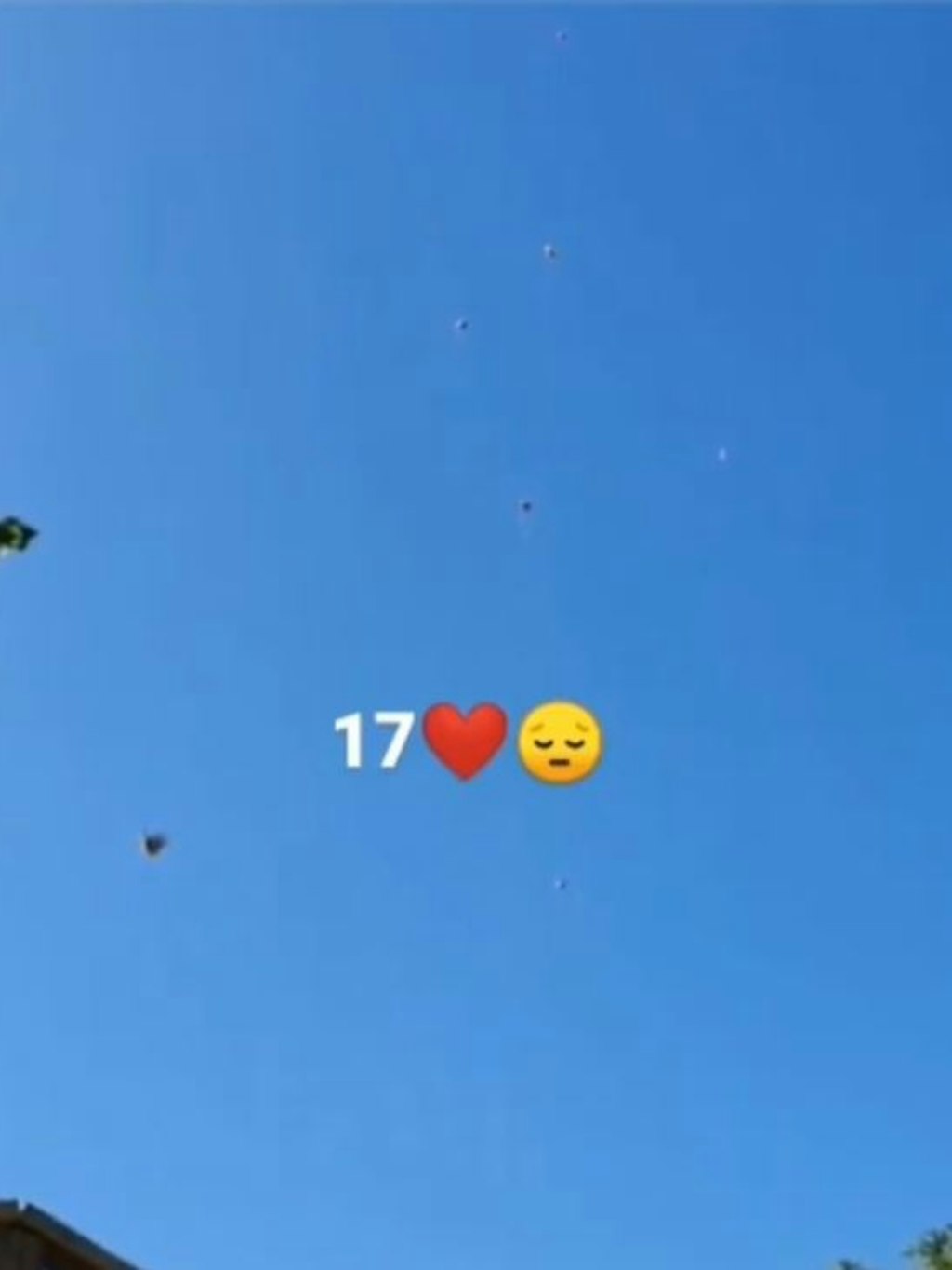 Der Instagram-Gruß von Rebeccas Schwester Vivien. 