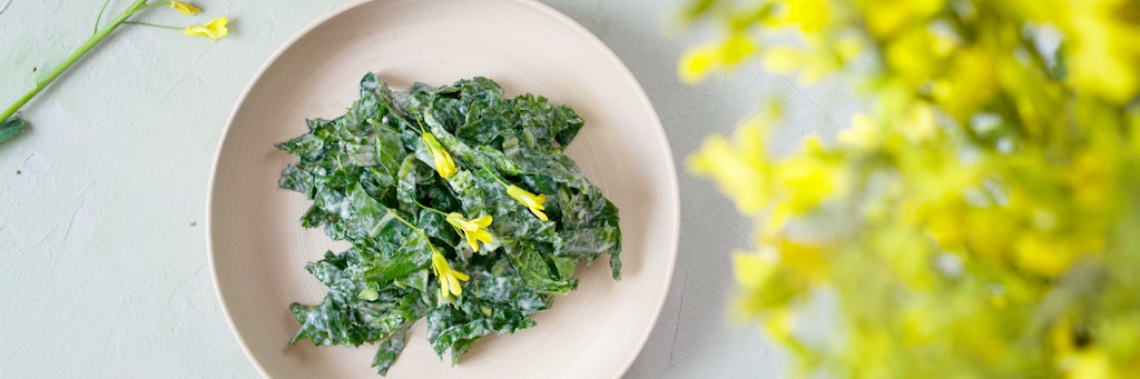 Krautsalat aus Kohlrabi-Blättern, die sonst in der Tonne landen würden - das Rezept stammt vom Foodblog «Ye Old Kitchen».