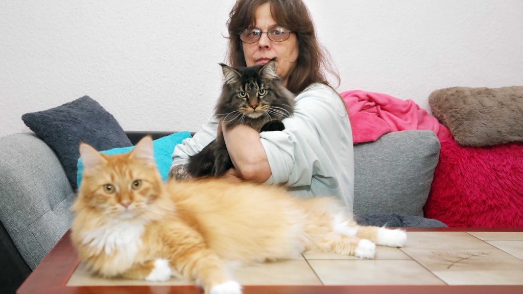 Mallabar hält zu ihrem kranken Kater. Auch, weil Katze Skylar einen Spielkameraden braucht.
