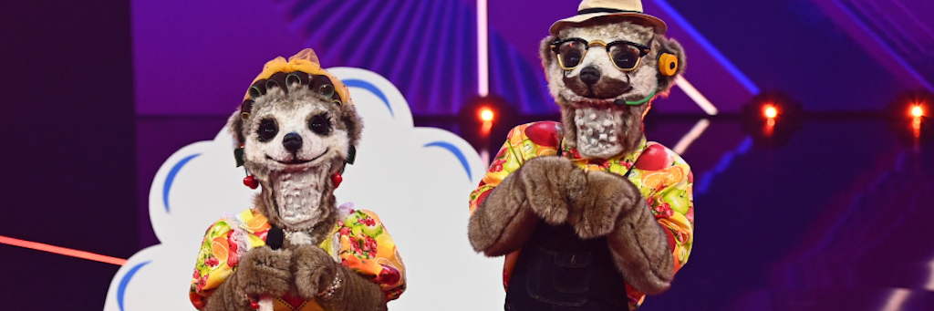 Sind die Erdmännchen enttarnt?