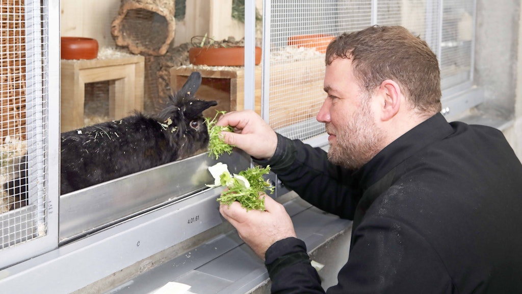 Nicht nur schwarze Hunde und Katzen warten im Tierheim auf ein neues Zuhause – auch dieses schwarze Kaninchen. Schornsteinfeger Alain Rappsilber füttert es liebevoll.