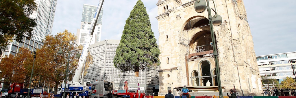 Der Weihnachtsbaum für den Weihnachtsmarkt an der Gedächtniskirche wird aufgestellt. 